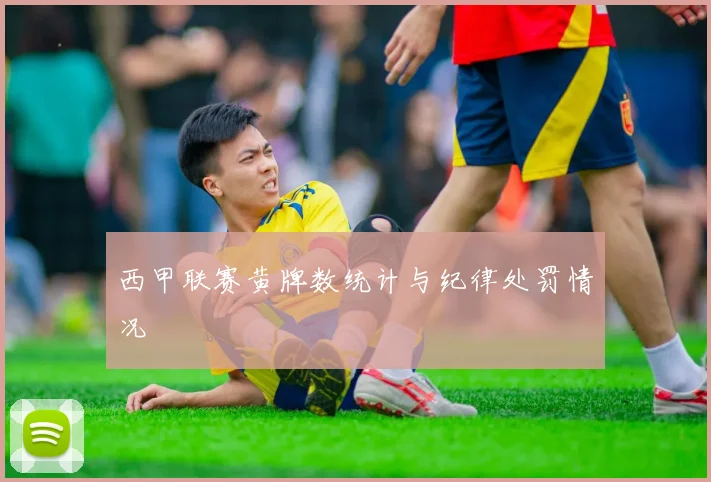 西甲联赛黄牌数统计与纪律处罚情况